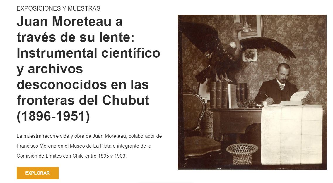 Muestra Moreteau