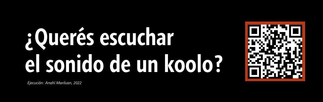 17- placa negra KOOLO