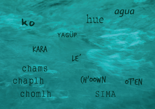 7-AGUAS
